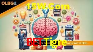 Security Systems BeTTigre