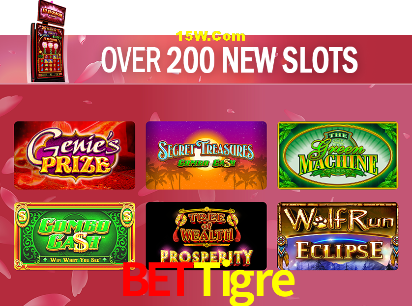 Exclusive Offers BeTTigre